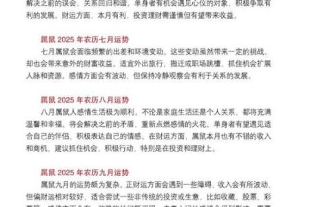 属鼠人2025年财运如何？正财偏财投资运势分析
