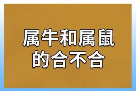 男羊女猴的属相合不合 男羊女猴属于上等婚姻