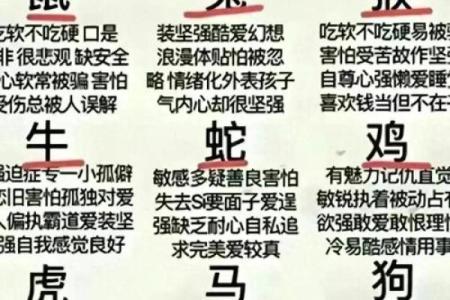 二二二四指什么生肖 二零二四年十二生肖表