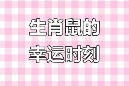 96年属鼠大忌颜色 96年属鼠人幸运色