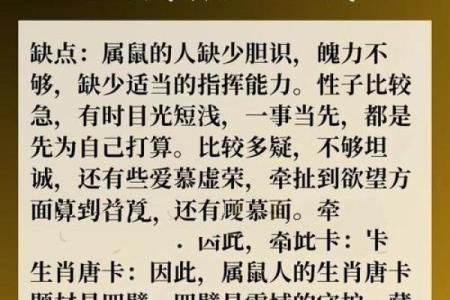 1984年出生属鼠人2025年事业财运健康感情全方位运势解析