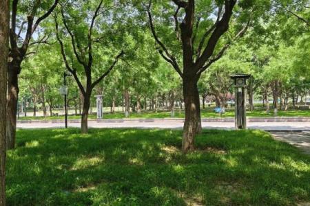 五字当头居天下生肖