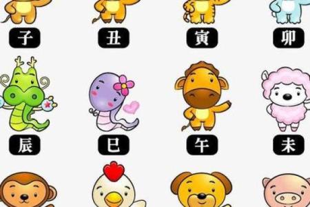 以正视听所指的生肖究竟是哪一个，权威解释来了
