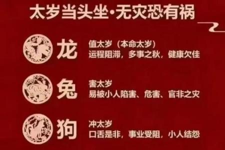 女龙和兔男属相合不合 女龙跟男兔相配吗