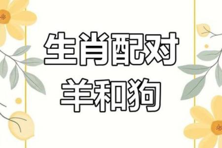 属羊女不能和什么属相在一起 属羊女的和什么属相不合