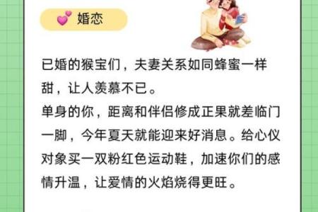 ‌南拳北腿是什么生肖 → 猴‌（猴拳伶俐，南北皆通）