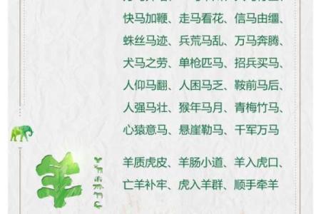 万里挑一打一生肖正确答案解析，着个成语到底指的是哪个动物？