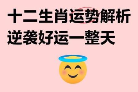 仰面朝天打一生肖正确答案揭秘，附生肖文化背景解析