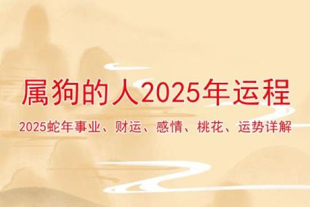 2025年属狗人财运事业运势如何看及得把眼睛擦亮了分析
