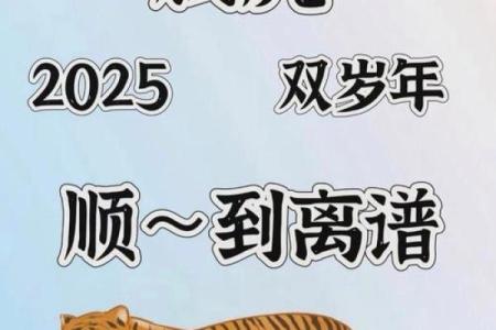 ‌入文出武是什么生肖 → 虎‌（虎将儒风，文武双全）