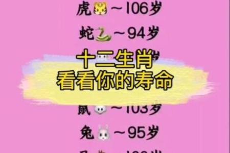 缺三短四是什么生肖
