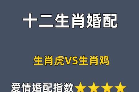 男龙和女鸡的属相合不合 男龙与女鸡相配的婚姻如何