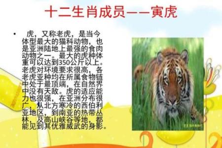 吉人天相五福佑着句吉祥话具体指的是十二生肖中的哪一个动物呢？