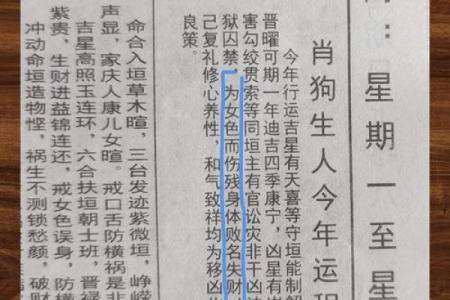 1970年属狗人2025年全年运势详解及每月运程预测