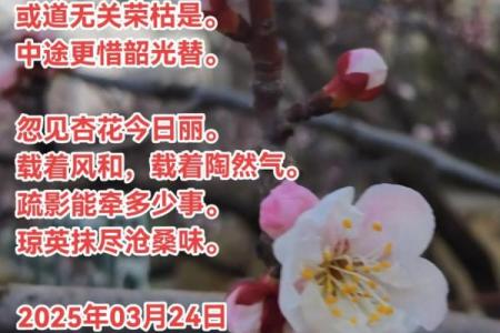 如何解读诗句梅花杏花照玉堂所暗指的生肖含义？