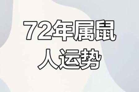 1972年属鼠人2025年全年运势详解，健康事业财运如何发展需注意什么？