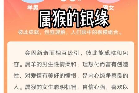 1991属羊最佳配对 1991属羊最佳配对