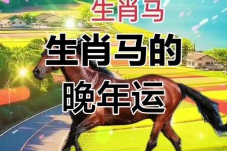 属马人2013年运势(2013年属马命好吗)