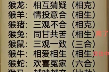 属猴男和属猴女婚配 属猴男和属猴女婚配是相刑吗
