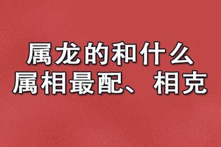 2000年属龙女的婚配不合适的属相 2000年属龙的女人婚配