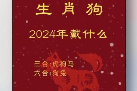属狗女2025年三大喜事是什么 属狗女2025年三大喜事是什么意思