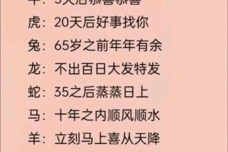20的生肖是什么生肖 20属相是什么生肖