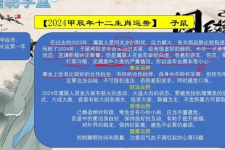 1972年属鼠人2024年全年运势详解，健康财运事业感情完整解析