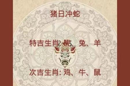 2025年属鼠人财运事业运势如何？有什么需要注意的？