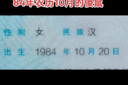 1984年属鼠的最佳配偶属相 1984年属鼠的最佳配偶属相女