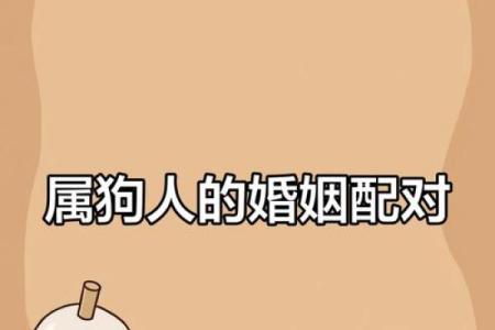 男属猪女属狗合婚吗 男属猪跟女属狗的婚姻般配吗