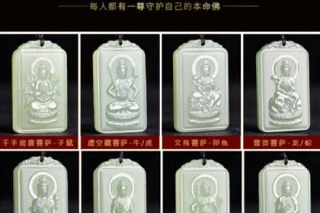 佛海无边打一生肖
