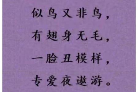 三心二意代表什么生肖动物？完整谜底和由来大揭秘