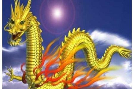 五叶神是什么生肖