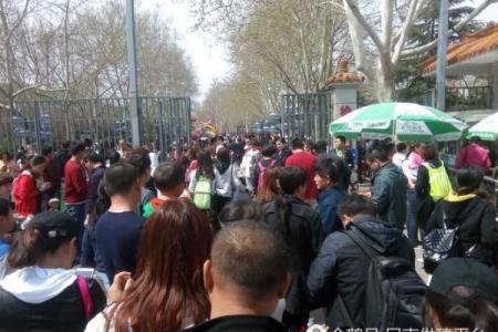 人山人海打一生肖的谜底解析，正确答案和原因是什么？