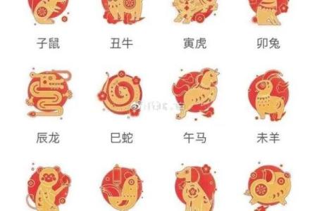 生肖第四是什么生肖 生肖第四是什么生肖动物