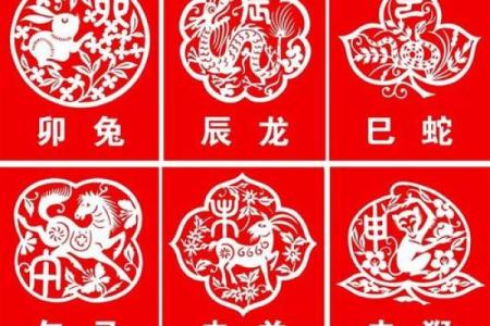 天下名山出精英代表什么生肖(天下名山打生肖)