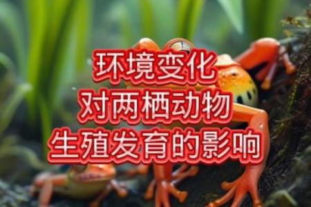 哪些动物最容易见异思迁并频繁更换栖息地或食物来源
