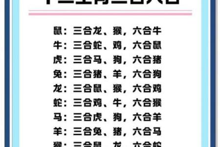 立定脚跟打一正确生肖