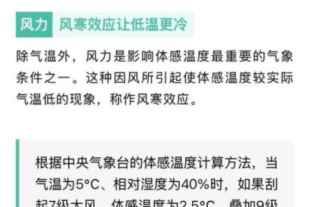 寒风细雨打一生肖很多人都不知道