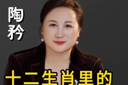文武百官代表什么生肖