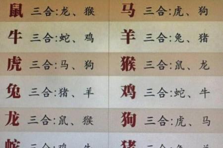 000年属什么生肖 2000出生属什么生肖