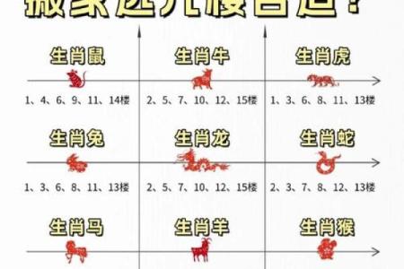 喜出望外是什么生肖(喜出望外是什么生肖准)
