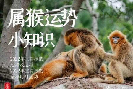 得不偿失的三大生肖 得不偿失是什么意思猜生肖