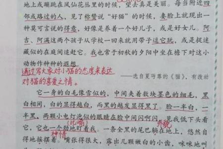 在十二生肖中投石问路”具体指的是哪一个动物？民间传说详解