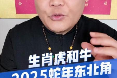东北角最忌讳三大生肖 东北角好不好
