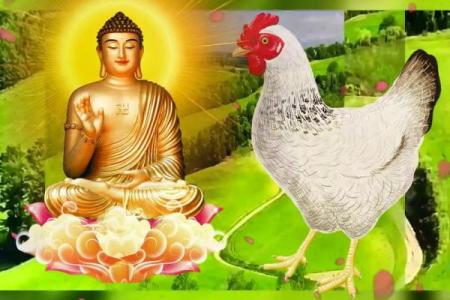 一举成名天下闻代表什么生肖(一举成名天下闻代表什么生肖动物)