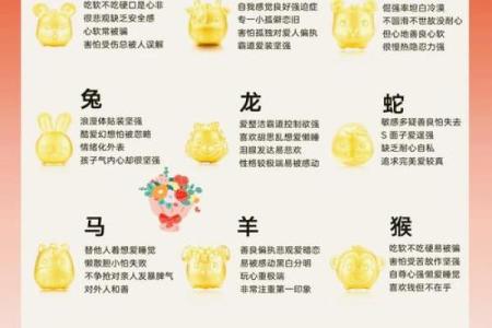 12岁属啥的哪年出生的 12岁的人属什么生肖