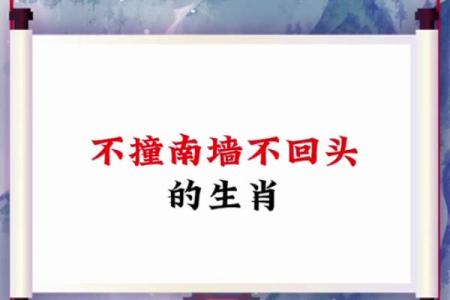 头撞南墙打一正确生肖 头撞南墙打一生肖最佳答案