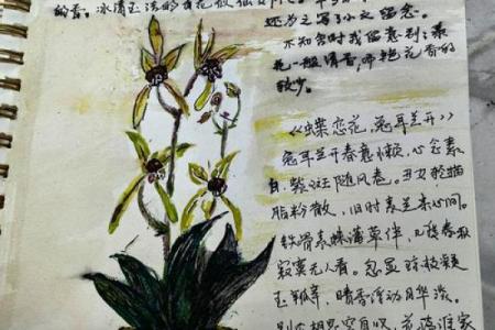 ‌妙笔生花打一生肖 → 兔（兔毫妙笔，生花文采）‌
