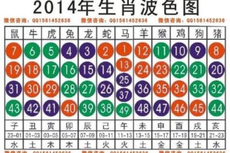 福无十全指什么生肖(福无十全指什么生肖准确答案)